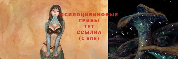 MDMA Богданович