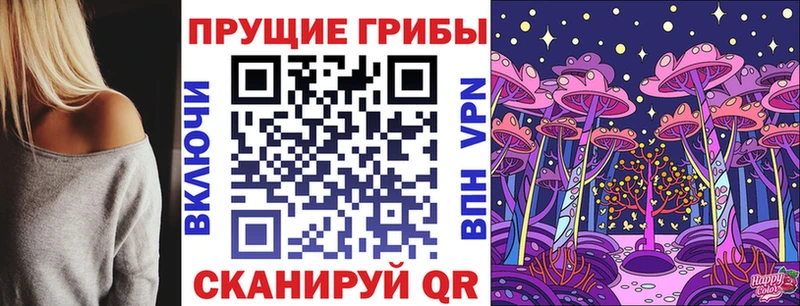 Псилоцибиновые грибы Cubensis  где найти наркотики  blacksprut   Константиновск 